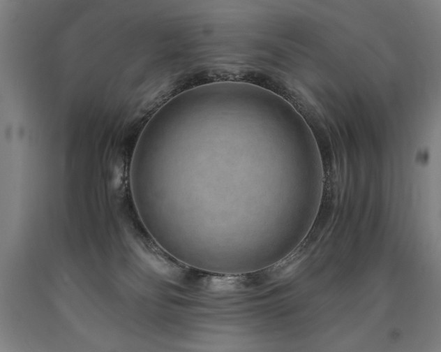 X0000090900134200707301421