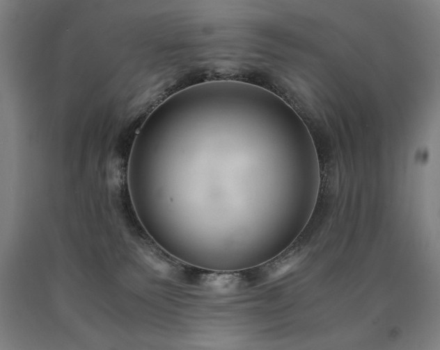 X0000090900135200707301421
