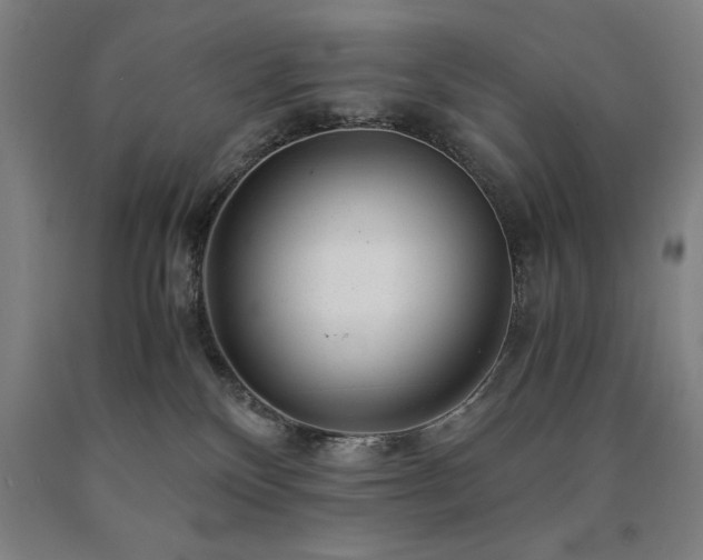 X0000090900136200707301421