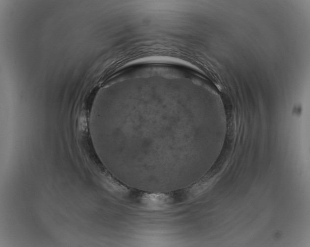 X0000090900137200707301421