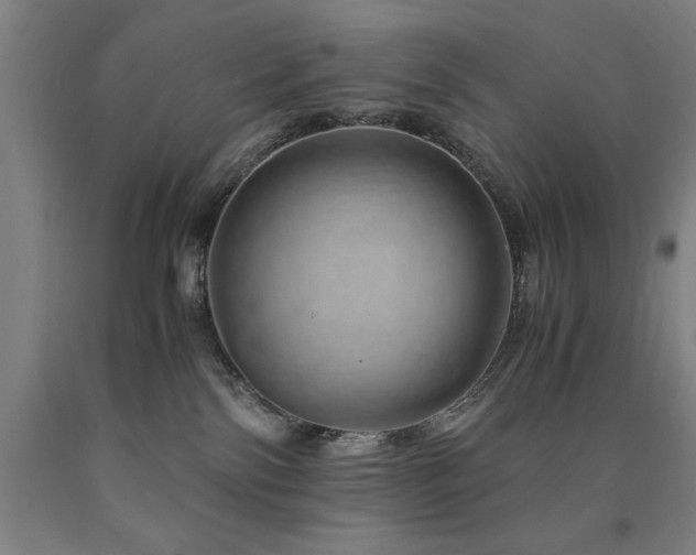 X0000090900138200707301421