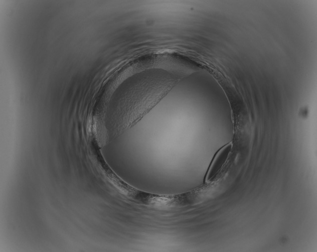 X0000090900139200707301421