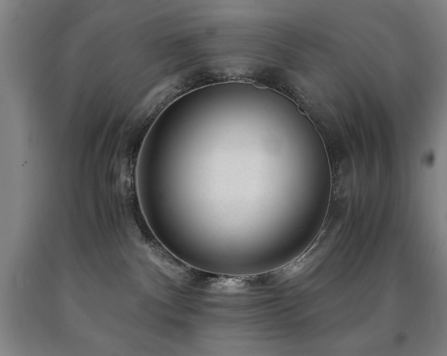 X0000090900140200707301421