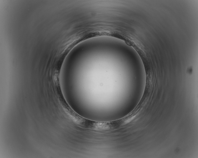 X0000090900141200707301421