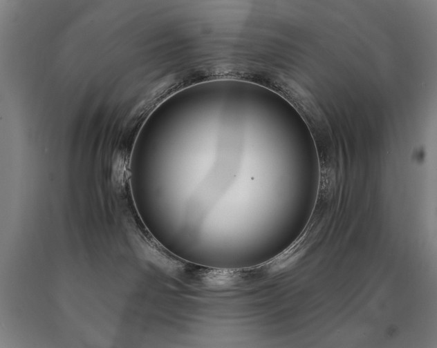 X0000090900142200707301421