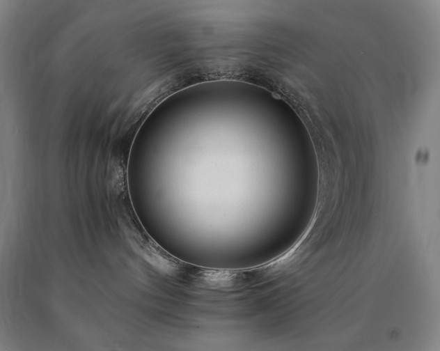 X0000090900144200707301421