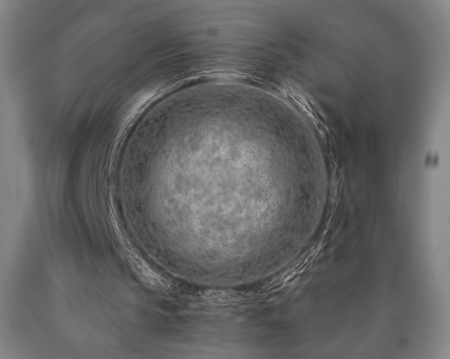 X0000090900145200707301420