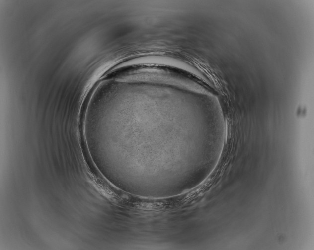 X0000090900147200707301420