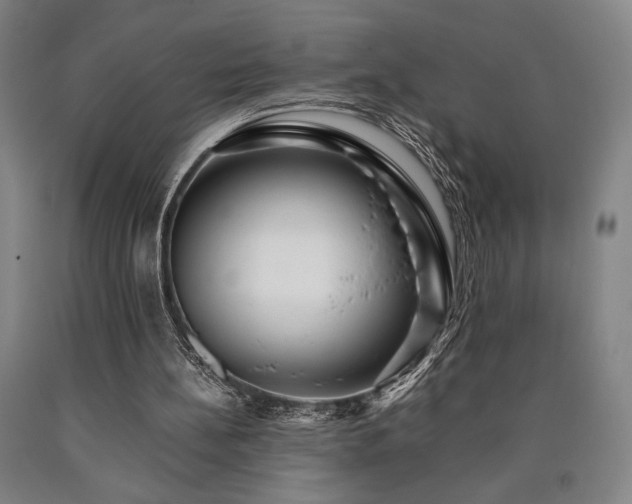 X0000090900148200707301420