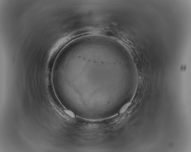 X0000090900149200707301420