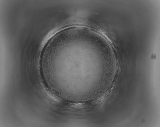 X0000090900151200707301420