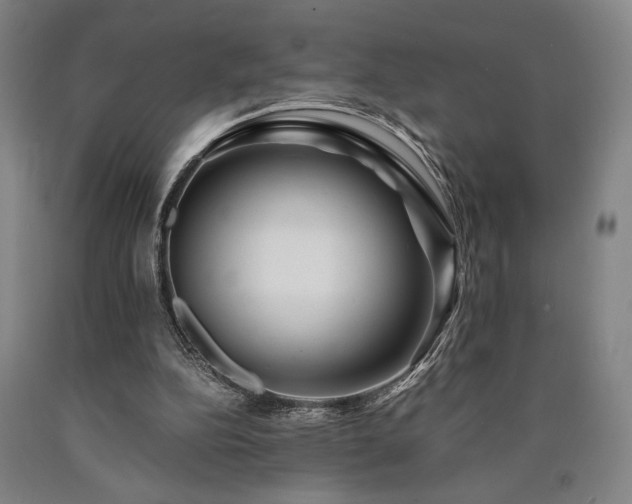 X0000090900152200707301420