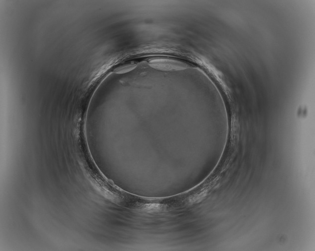 X0000090900153200707301420