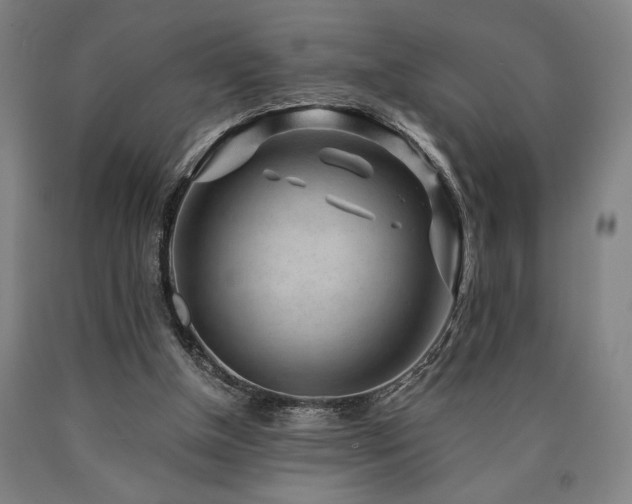 X0000090900154200707301420