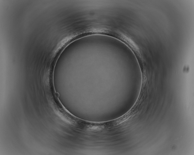 X0000090900155200707301420