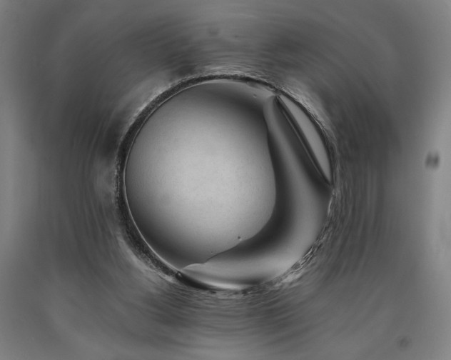 X0000090900156200707301420
