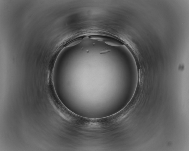 X0000090900157200707301420