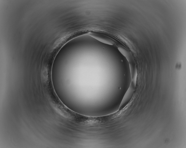 X0000090900158200707301420