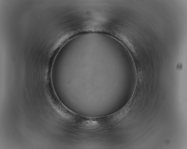 X0000090900159200707301420