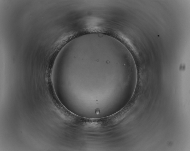 X0000090900161200707301420
