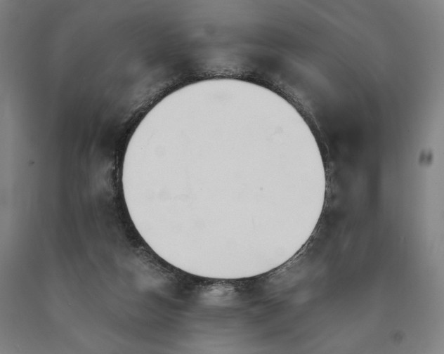 X0000090900162200707301420