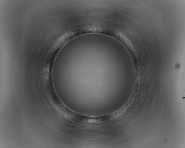 X0000090900163200707301420