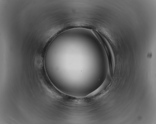 X0000090900164200707301420