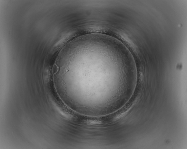 X0000090900165200707301420