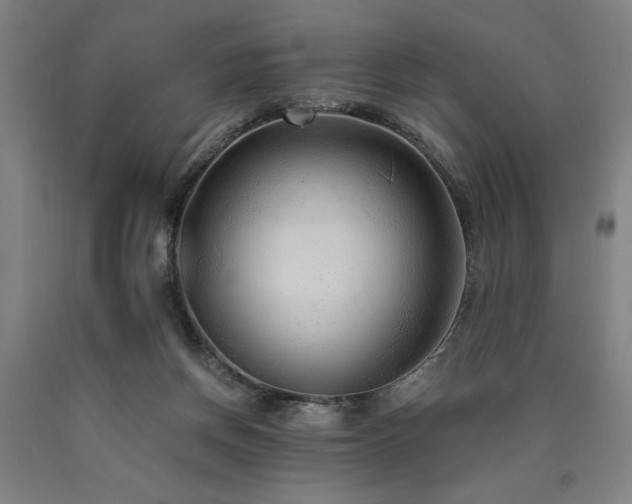 X0000090900166200707301420