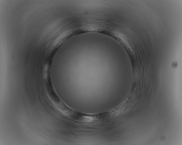 X0000090900167200707301420