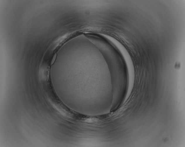 X0000090900168200707301420