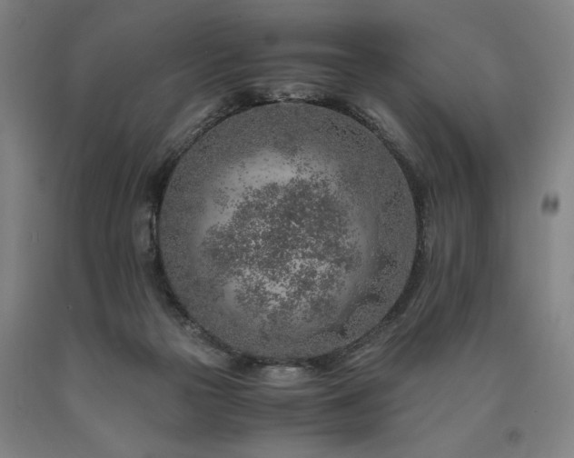 X0000090900169200707301420