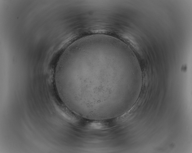X0000090900171200707301420