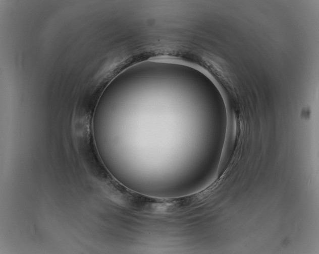 X0000090900172200707301420