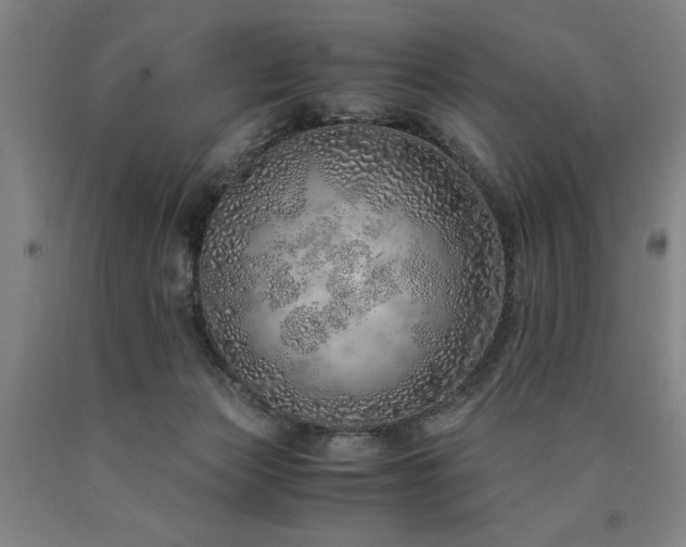 X0000090900173200707301421