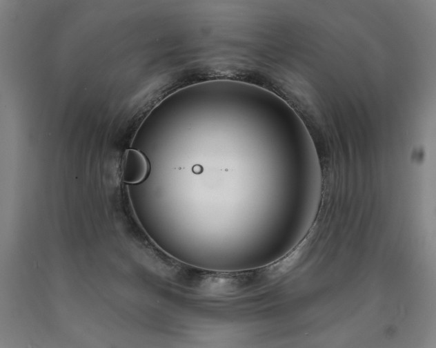 X0000090900174200707301421