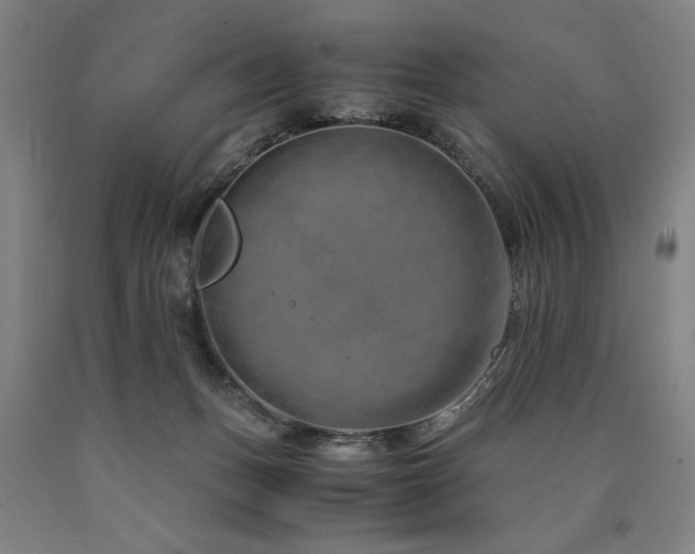 X0000090900175200707301421
