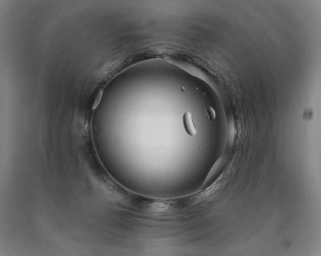 X0000090900176200707301421