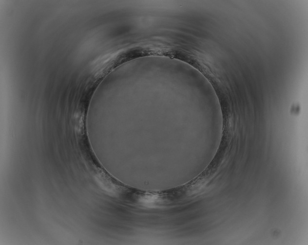 X0000090900177200707301421