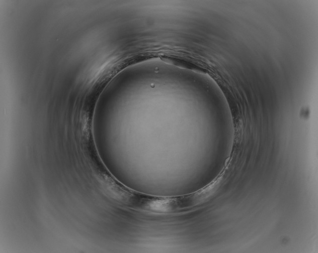 X0000090900178200707301421