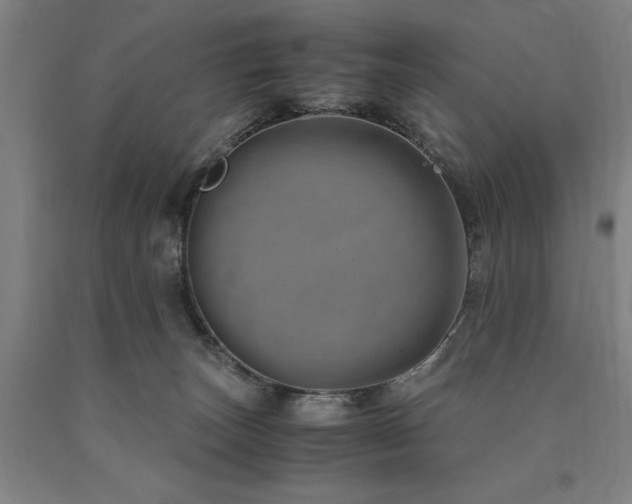 X0000090900179200707301421