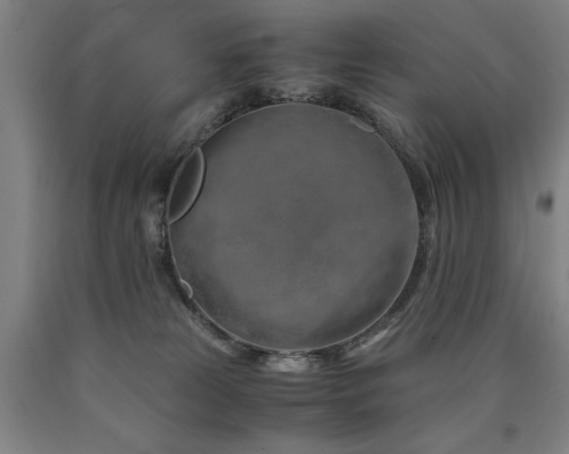 X0000090900181200707301421