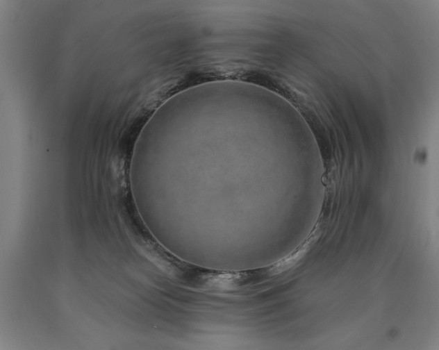 X0000090900182200707301421