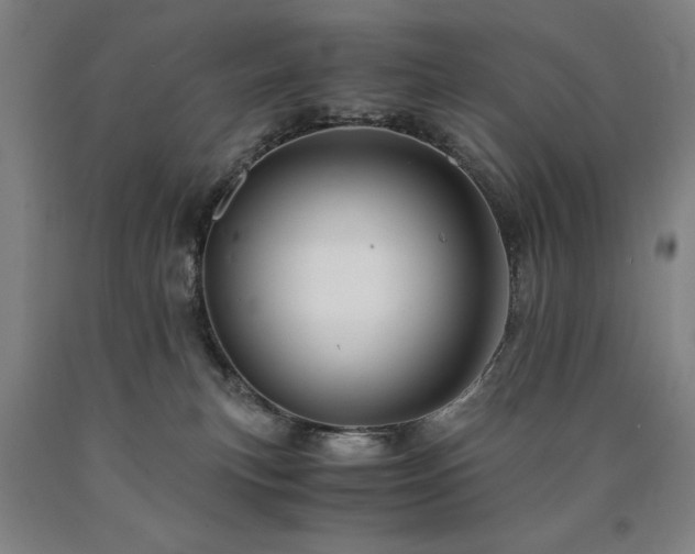X0000090900183200707301421