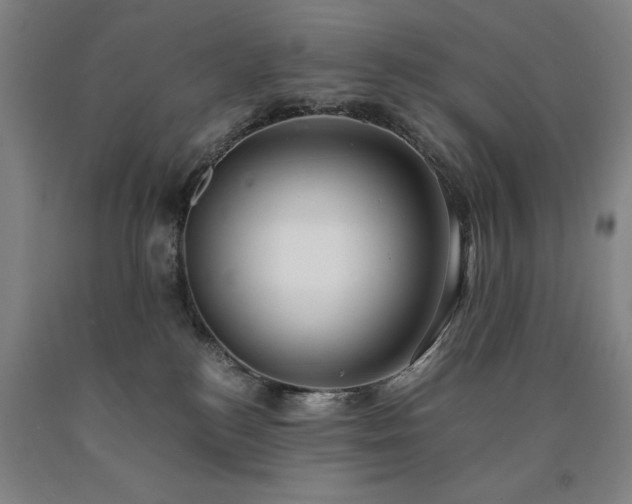 X0000090900184200707301421