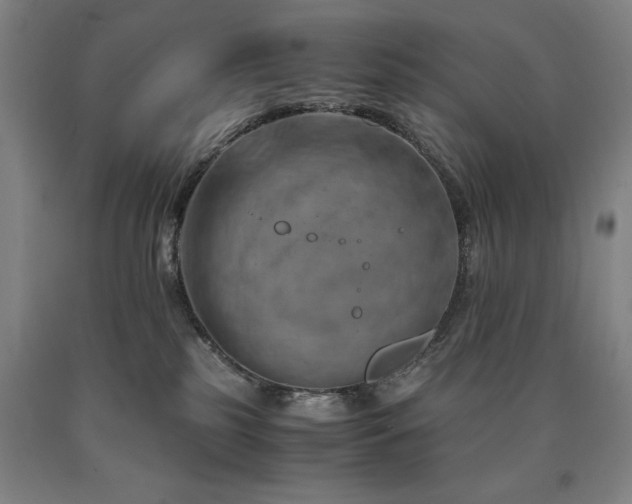 X0000090900185200707301421
