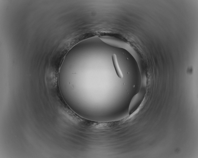 X0000090900186200707301421