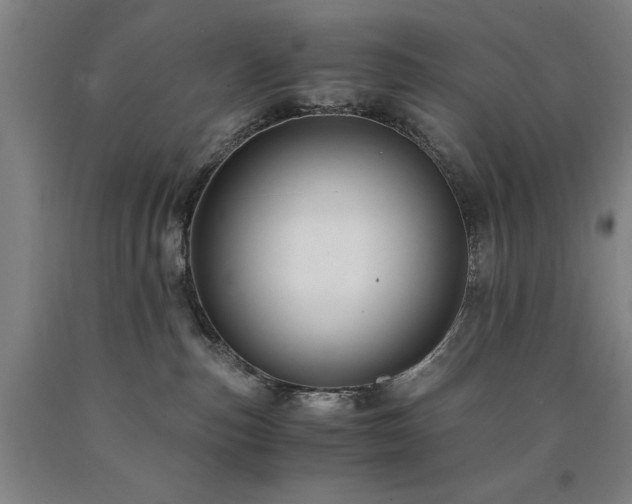X0000090900187200707301421