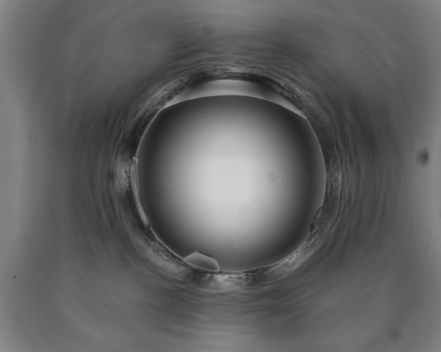 X0000090900188200707301421