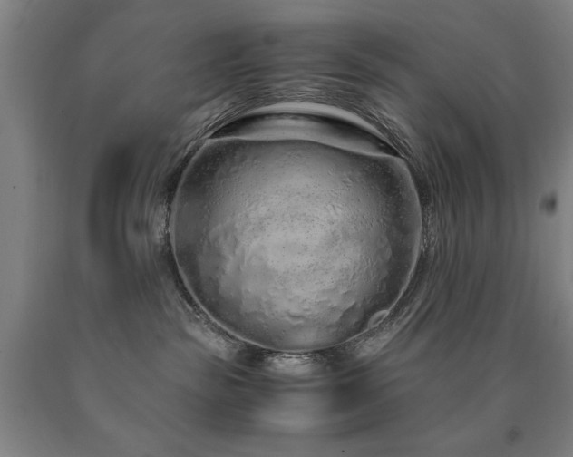 X0000090900189200707301421